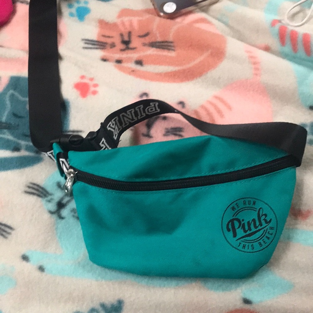 Blue PINK Fanny pack